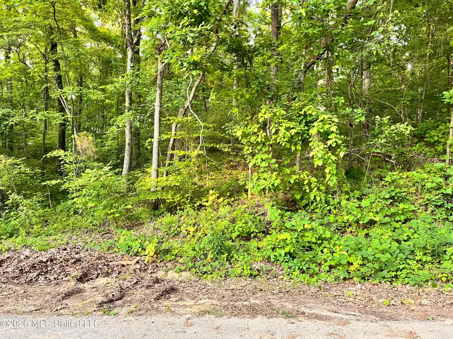 0 Snow Lake Drive, Ashland, MS 38603 - #2