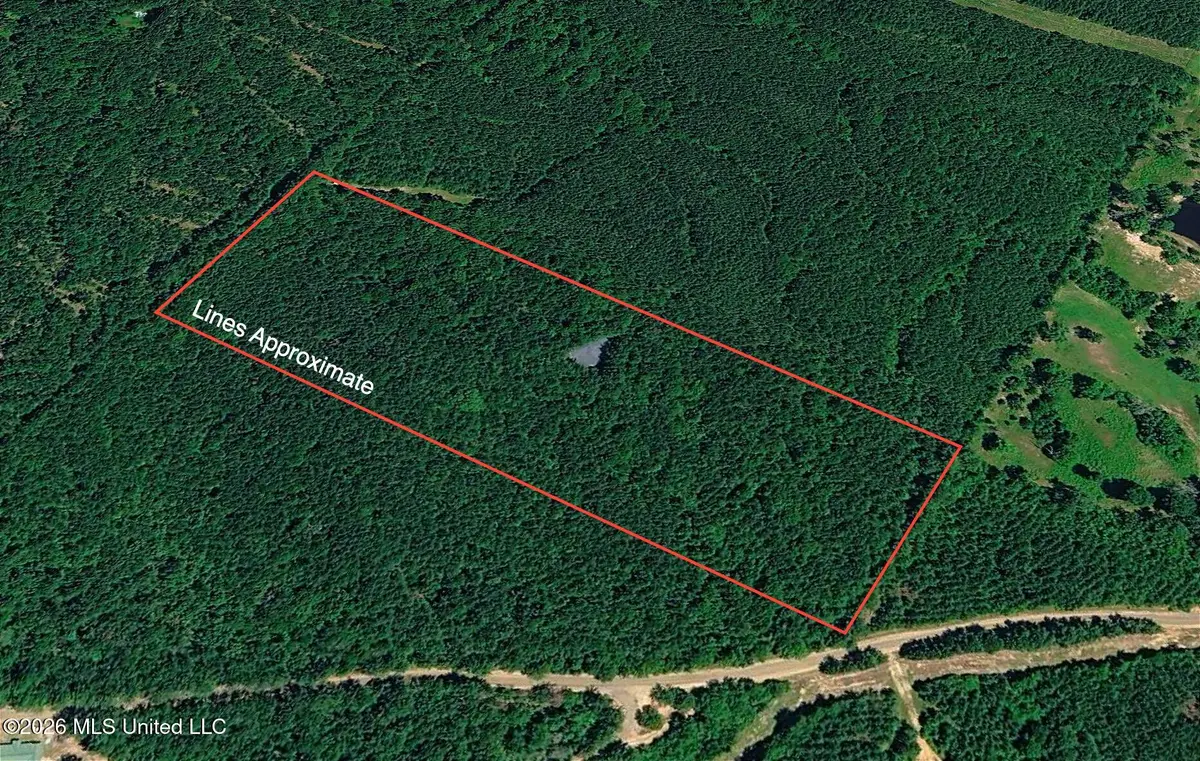 Hamilton Road, Prentiss, MS 39474 - #1