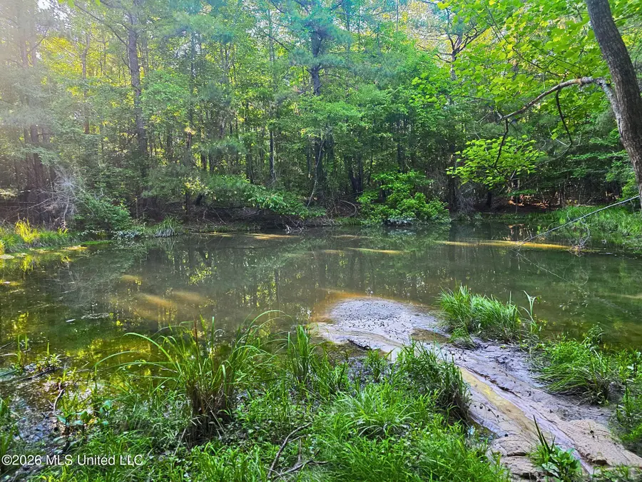 Hamilton Road, Prentiss, MS 39474 - #2