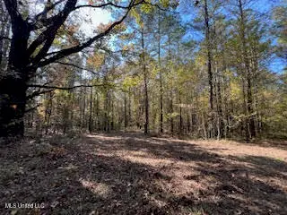 Perry Chapel Road, Ashland, MS 38603 - #1