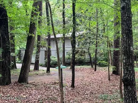 113 Campfire Circle, Brandon, MS 39047 - #3