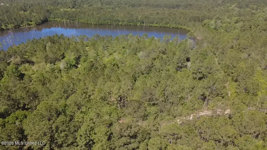 Lot 7 Road 311 Road, Kiln, MS 39556 - #2