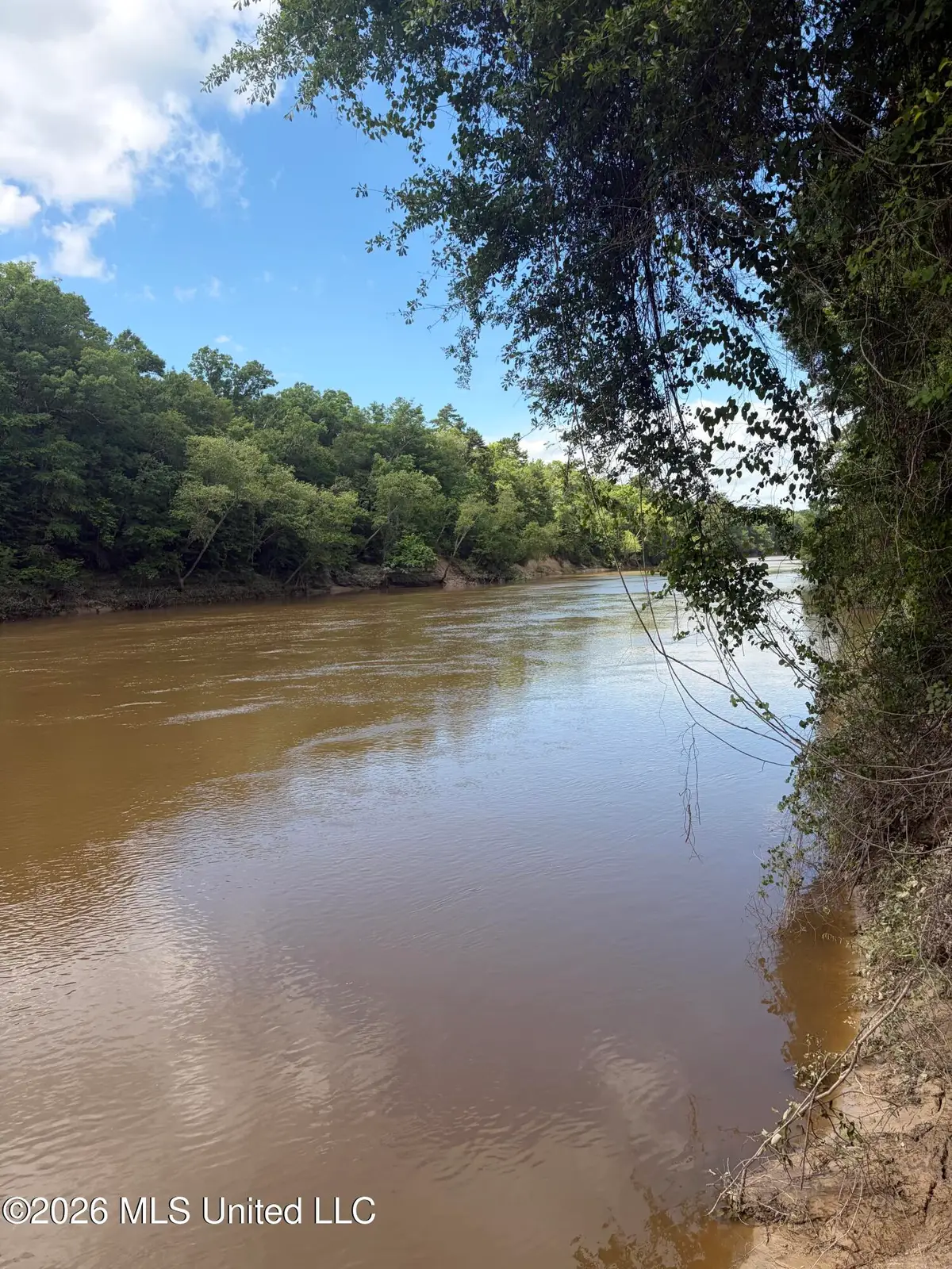 Ann Hinton Road, Beaumont, MS 39423 - #1