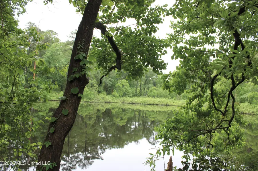 2 Magnolia Progress Road, Magnolia, MS 39652 - #3