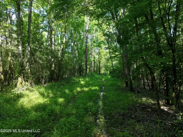 Us-51, Bogue Chitto, MS 39629