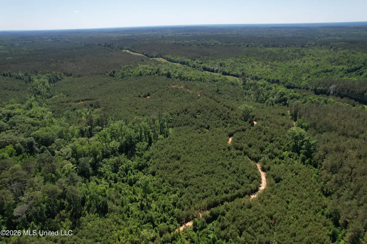 Couparle Road, Camden, MS 39045 - #1
