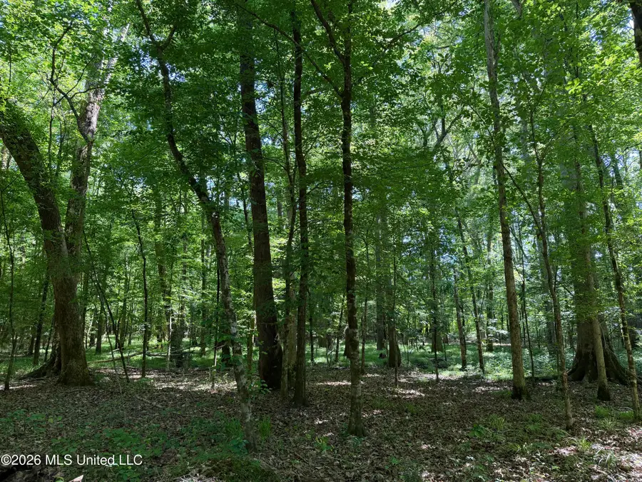 Couparle Road, Camden, MS 39045 - #2