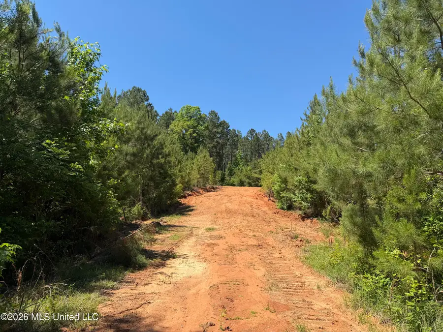 Couparle Road, Camden, MS 39045 - #3