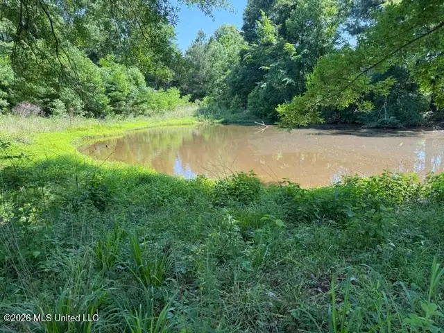 53 Cliffs Plantation Road, Natchez, MS 39120 - #2