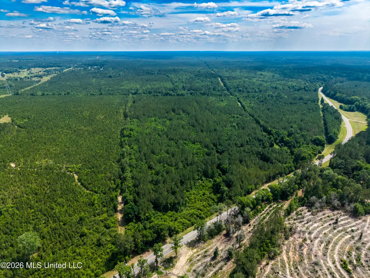 Hwy 43 N Hwy 43, Poplarville, MS 39470 - #1