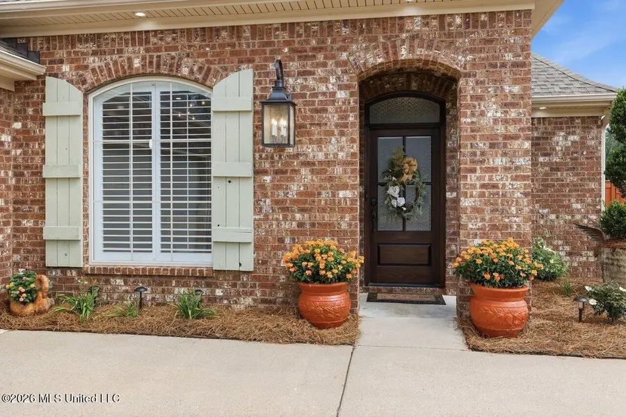 112 Meadow Pointe Cove, Brandon, MS 39042 - #3