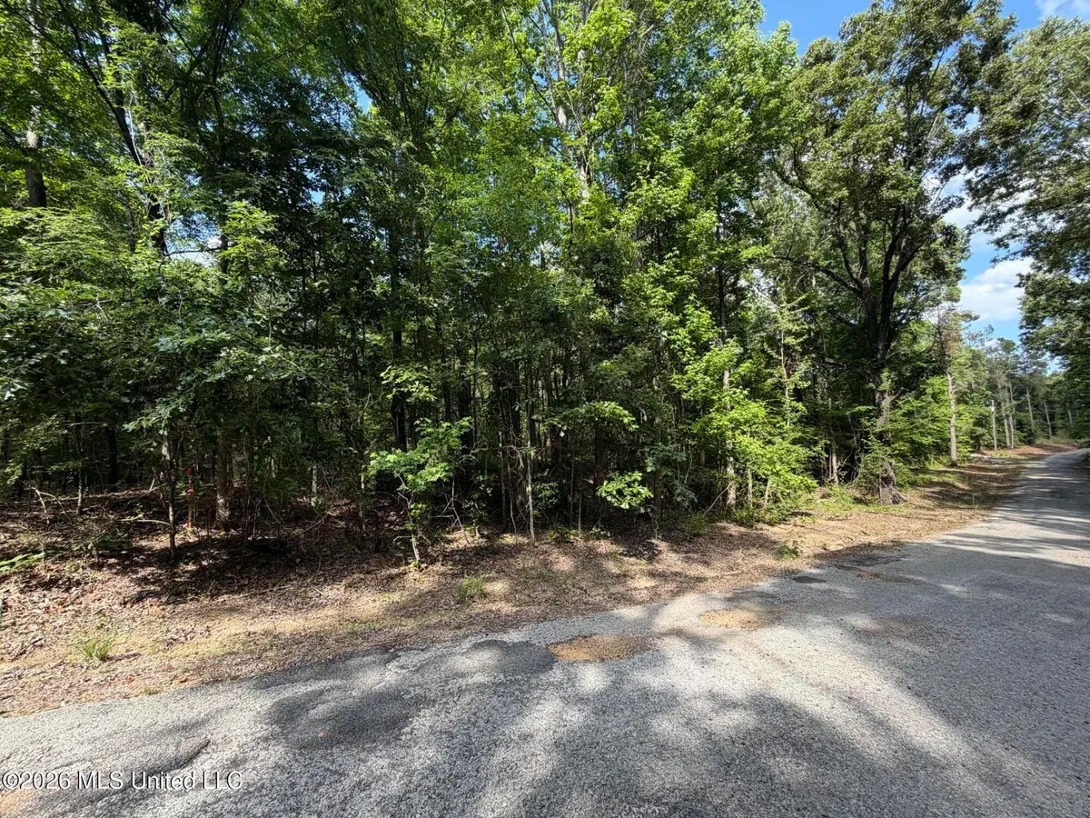 80 Co Rd 5009, Como, MS 38619 - #1