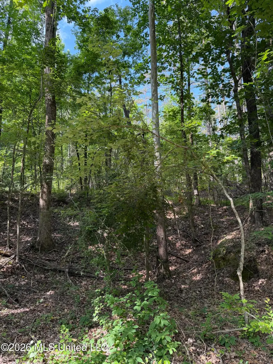 80 Co Rd 5009, Como, MS 38619 - #3