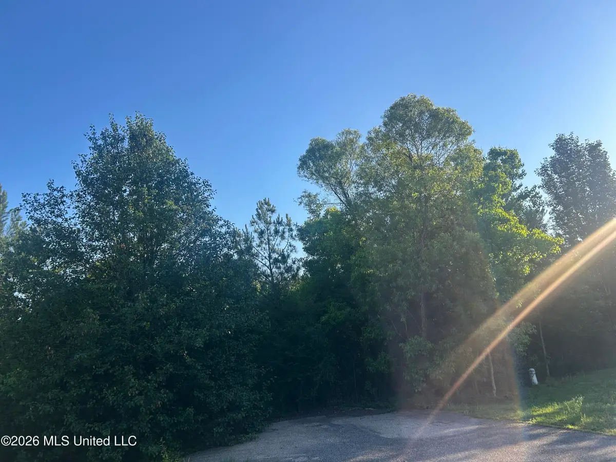 0 E Chanticleer Drive, Hattiesburg, MS 39402 - #1
