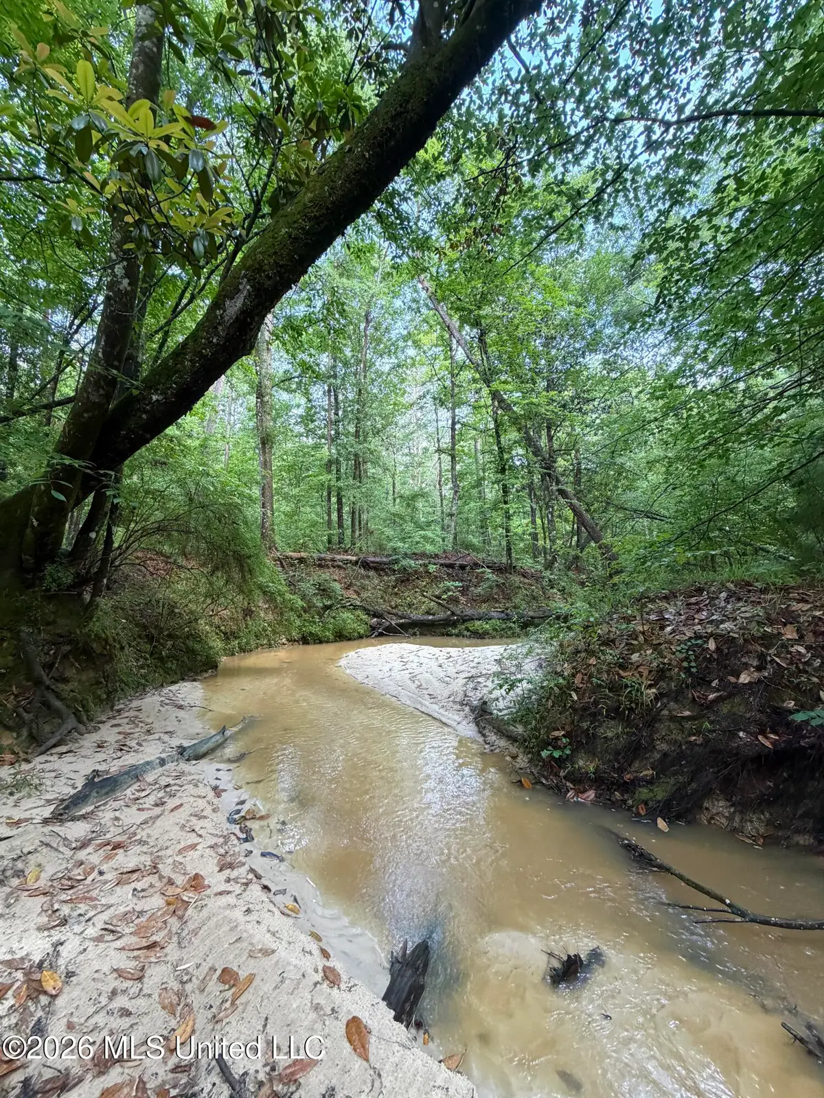 17 E Poor House Road, Woodville, MS 39669 - #1