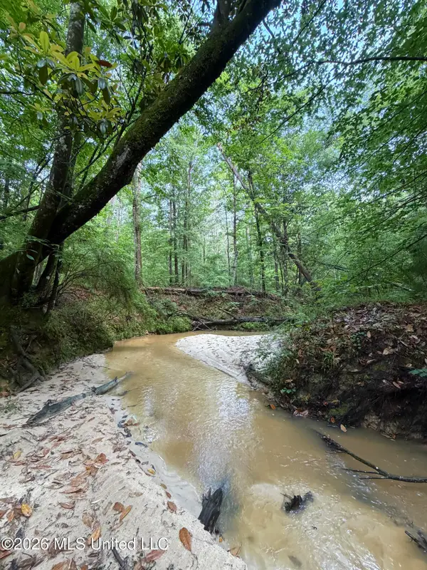 E Poor House Road, Woodville, MS 39669