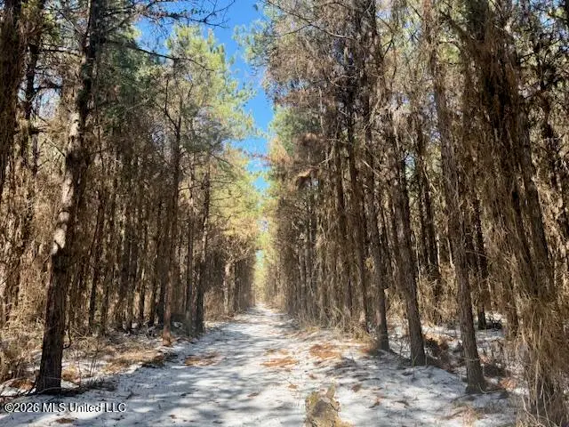 Prairie Debutte Road, Bastrop, LA 71220 - #1