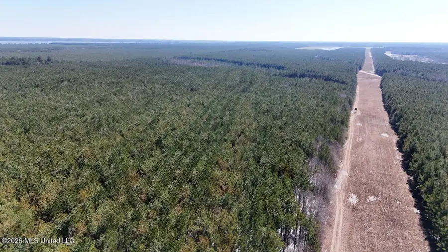 Prairie Debutte Road, Bastrop, LA 71220 - #3