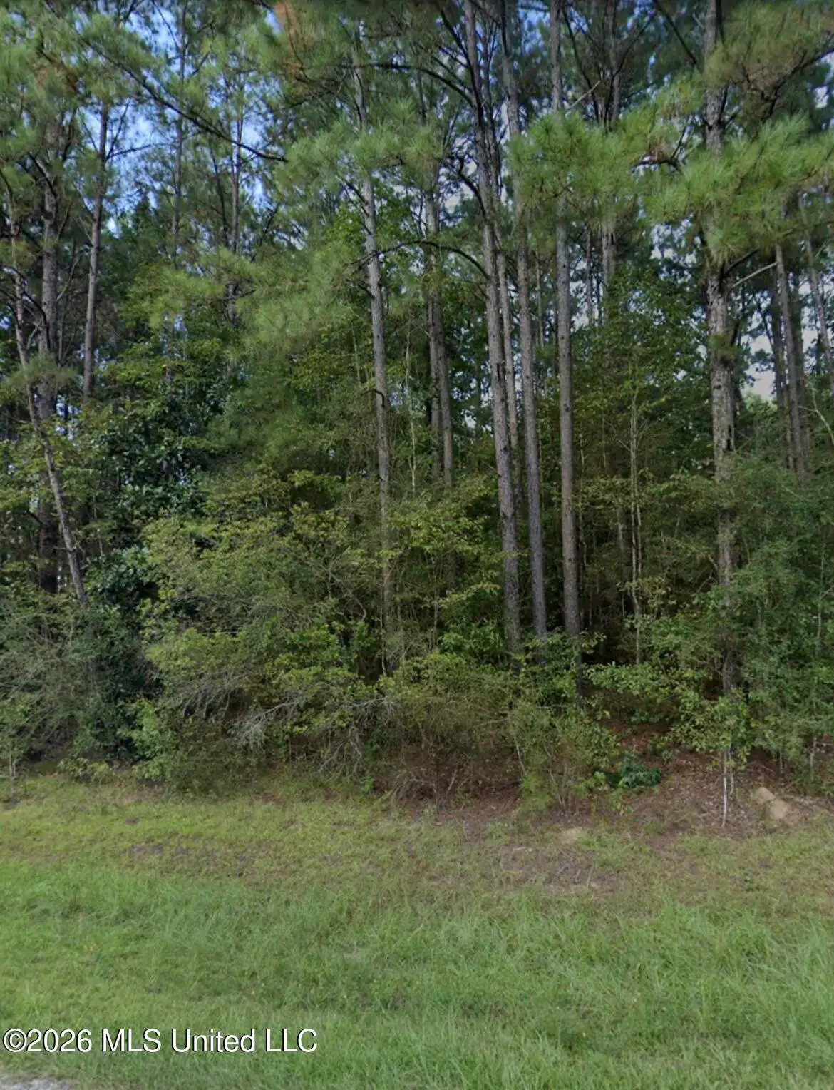 996 Hickory Grove Road, Lumberton, MS 39455 - #1