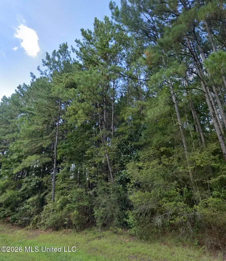 996 Hickory Grove Road, Lumberton, MS 39455 - #3