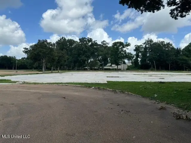 129 Jeff Davis Boulevard, Natchez, MS 39120 - #1