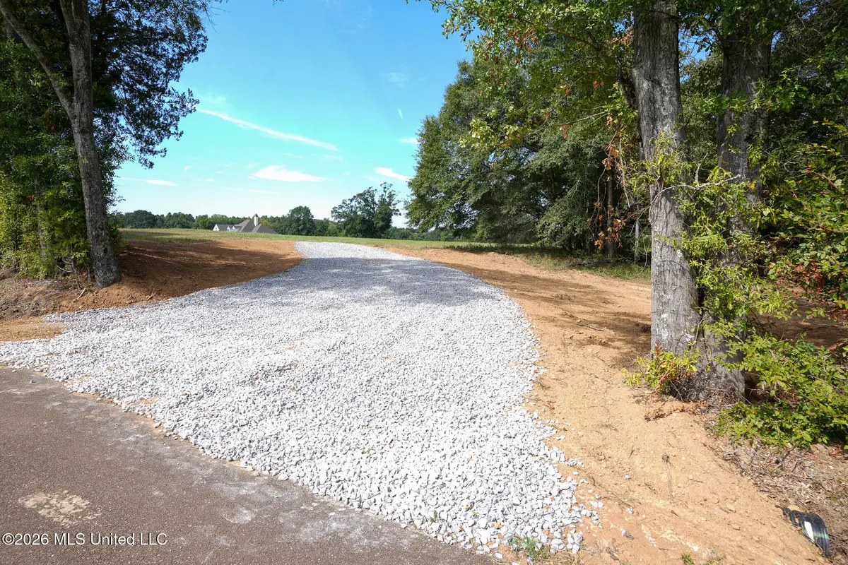 Cane Creek Road, Flora, MS 39071 - #1