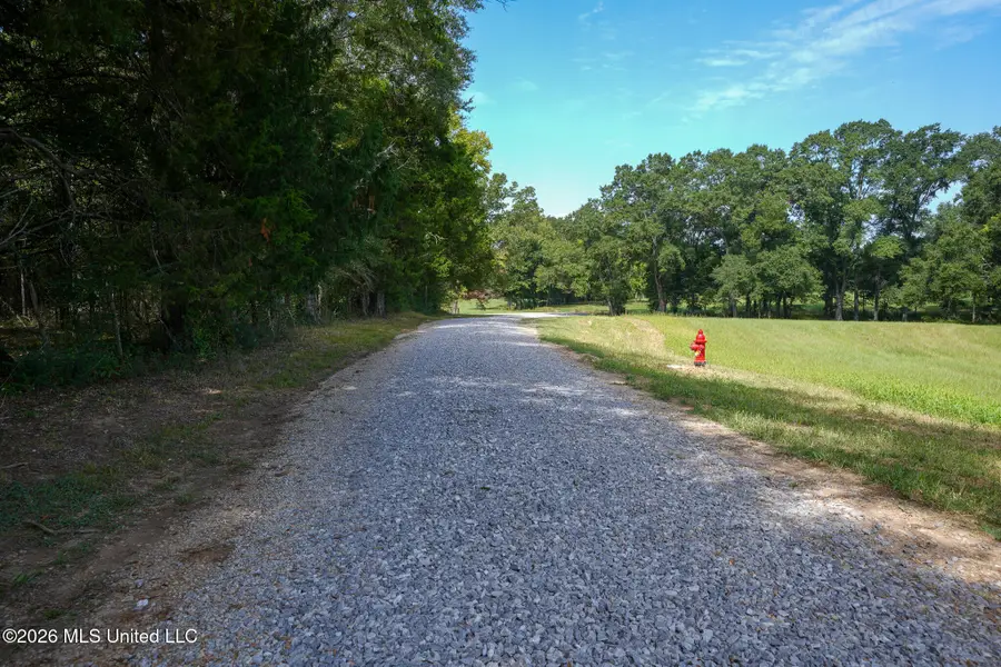 Grand Oaks Way, Flora, MS 39071 - #2