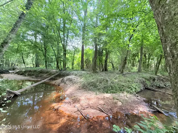 Summit Drive, Summit, MS 39666