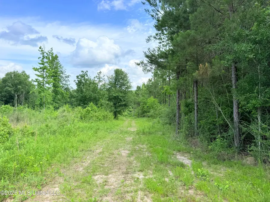 Summit Drive, Summit, MS 39666 - #2
