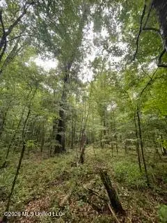 Lowenkamp Lane, Hazlehurst, MS 39083 - #3