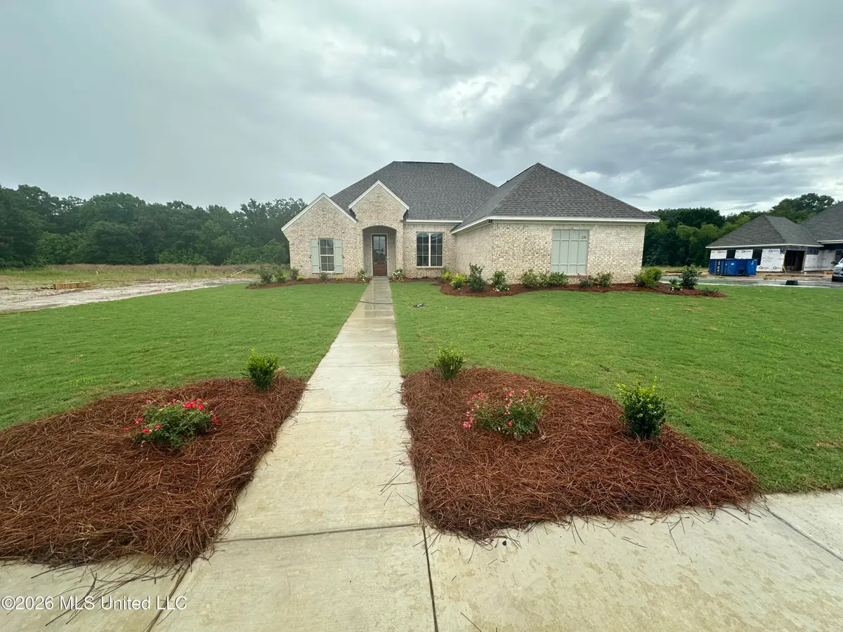 238 Mission Park, Madison, MS 39110 - #1