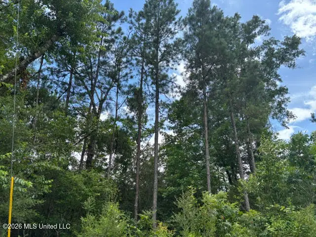 N Lela Drive, Magnolia, MS 39652 - #3