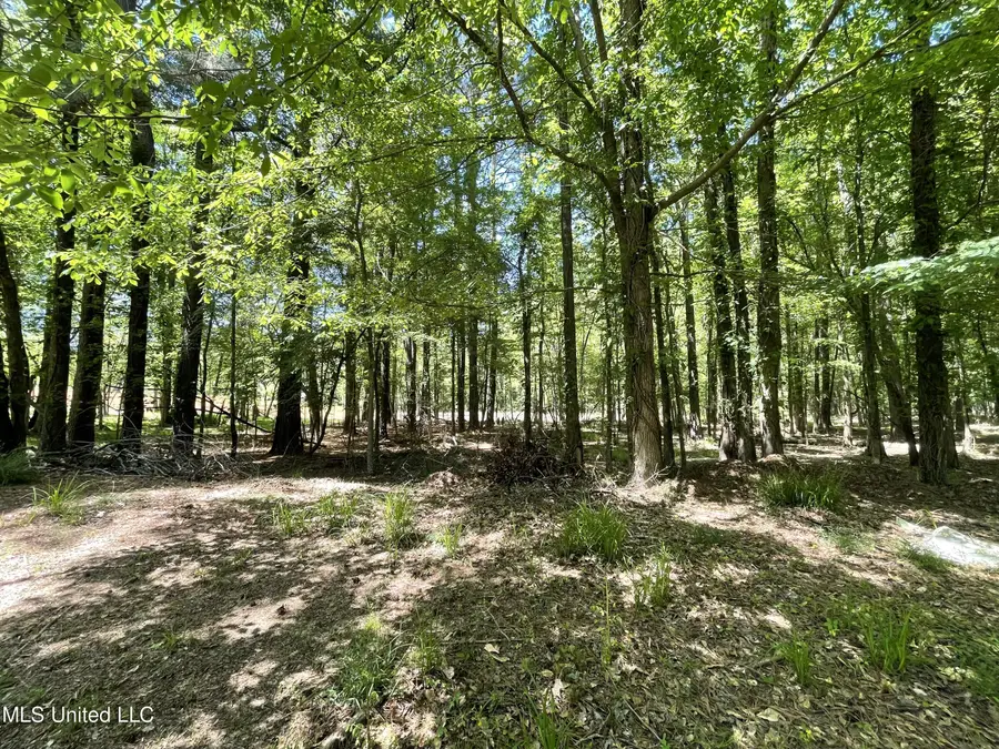 Lot 4 Chantilly Drive, Madison, MS 39110 - #3