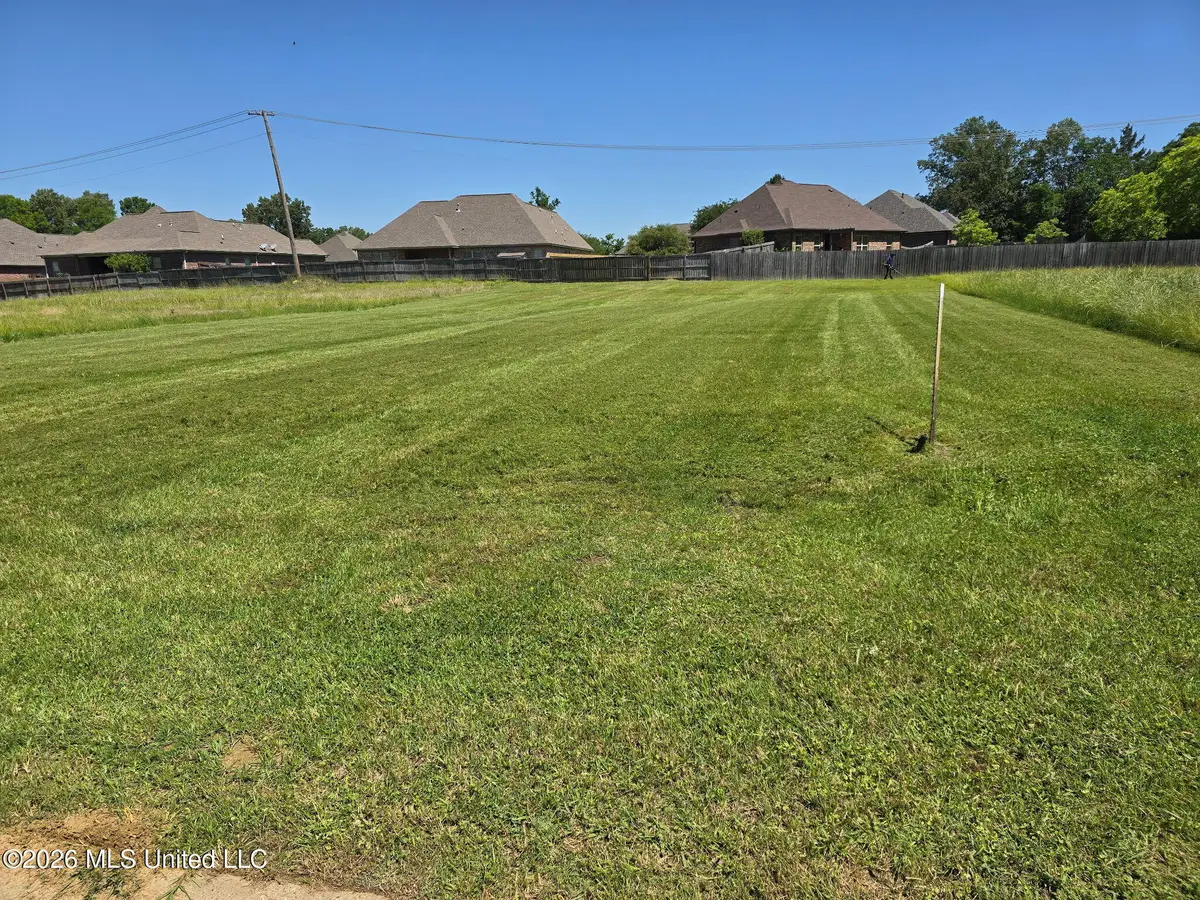 Ash Tree Lane, Madison, MS 39110 - #1