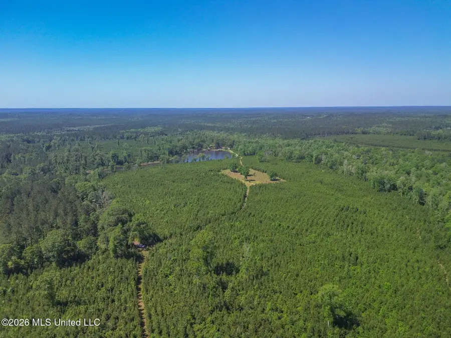 271 Shadeville Road, Wiggins, MS 39577 - #3