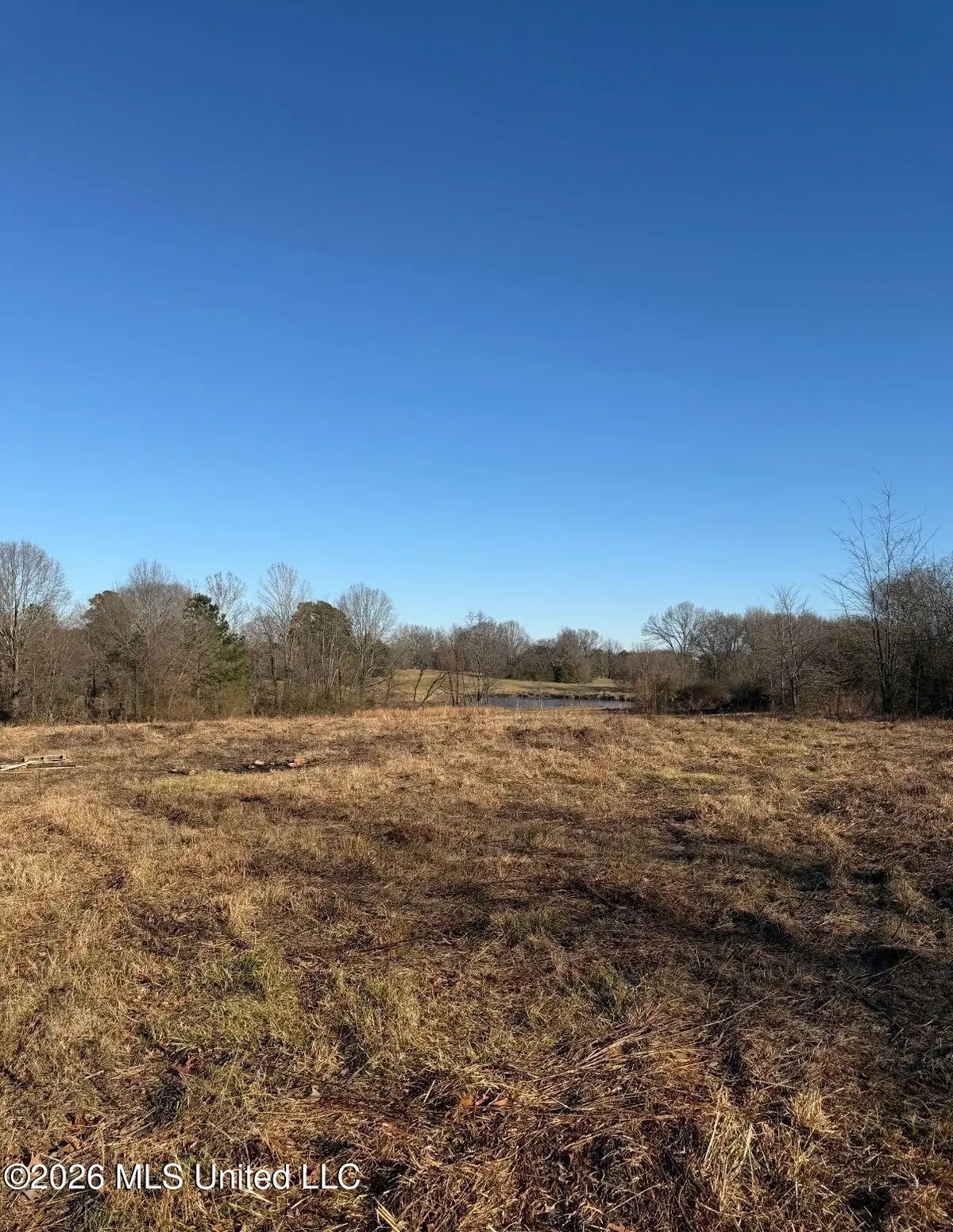 107 Cherrydale Drive, Coldwater, MS 38618 - #1