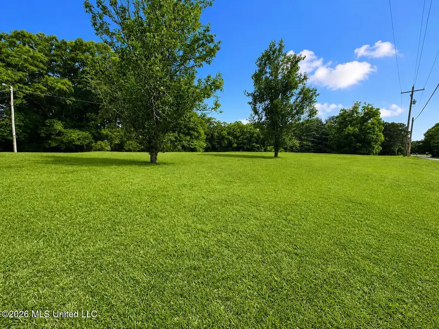 185 Sanatorium Road, Mendenhall, MS 39114 - #2