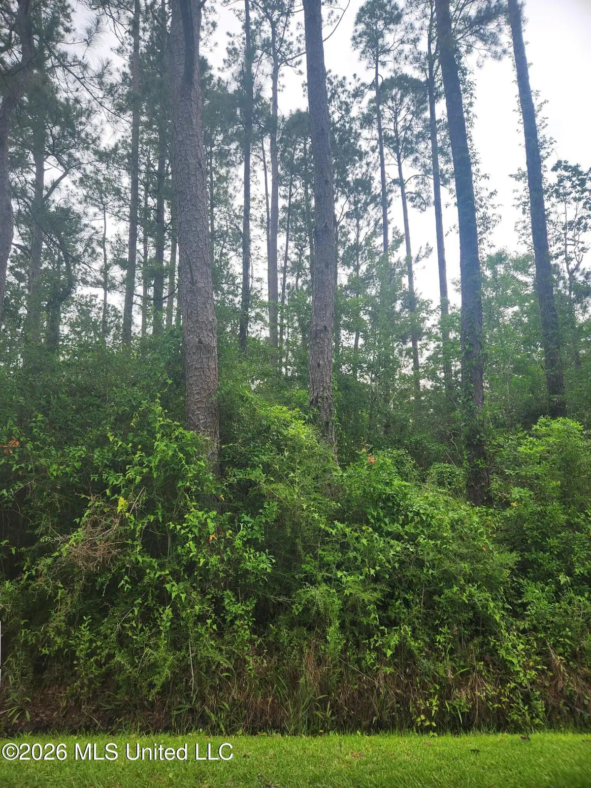5th Street, Bay Saint Louis, MS 39520 - #1