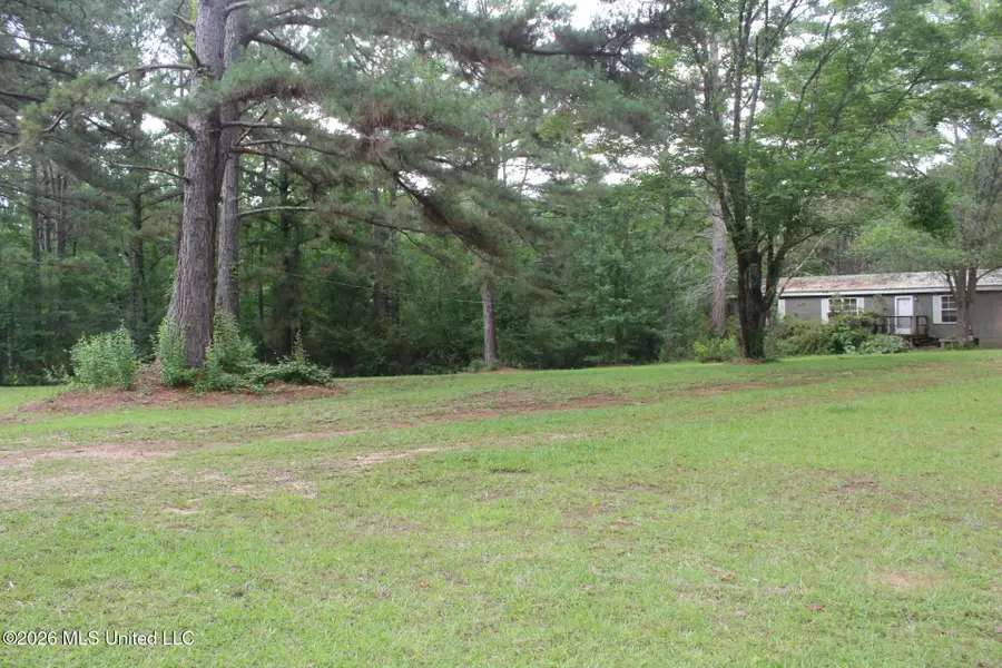 429 River Road Drive, Bogue Chitto, MS 39629 - #3