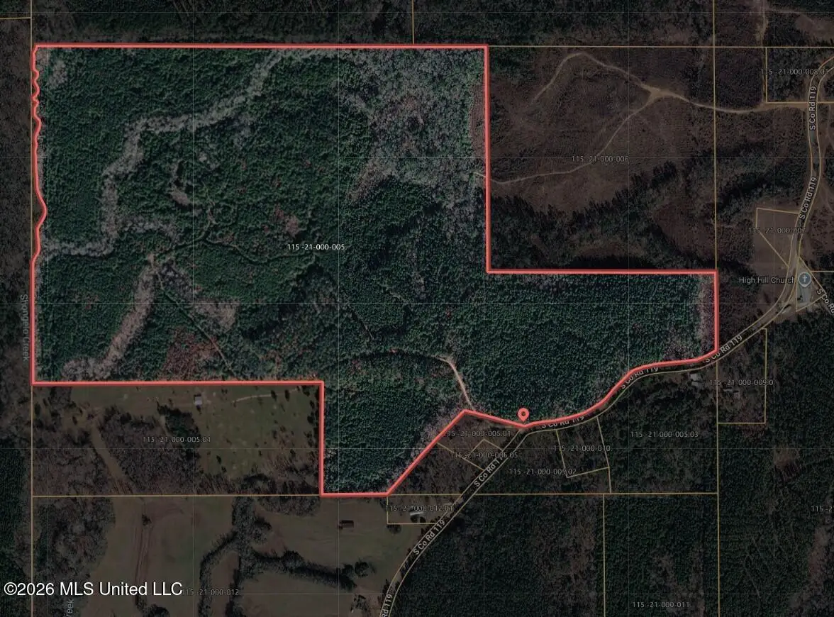 0 S Co Rd 119, Raleigh, MS 39153 - #1