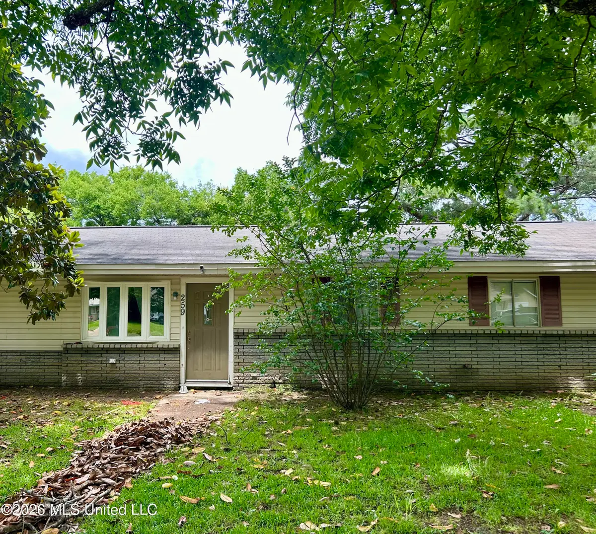 259 Gatewood Drive, Pearl, MS 39208 - #1