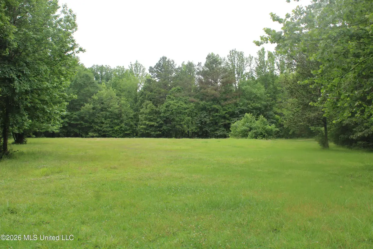 1347 Briscoe Road, Holly Springs, MS 38635 - #1