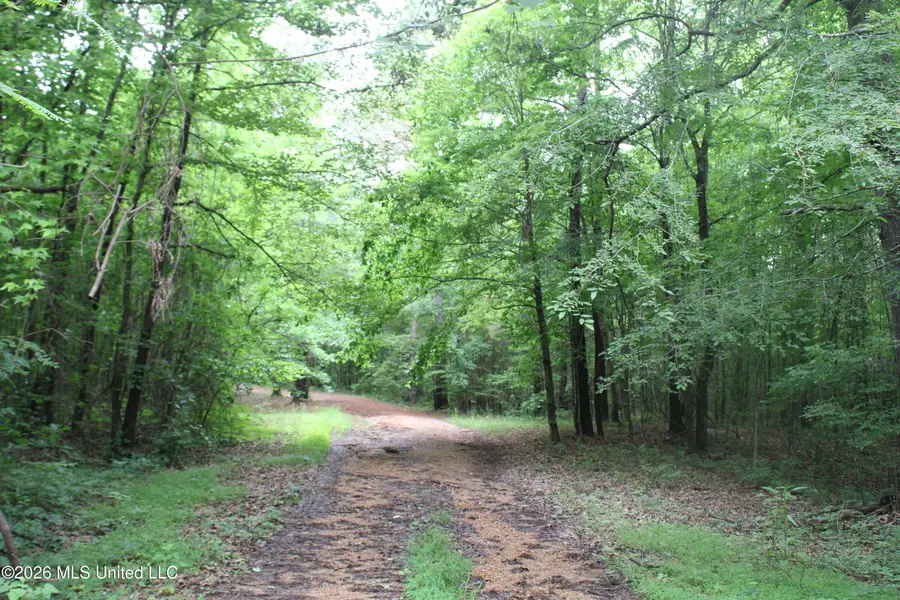1347 Briscoe Road, Holly Springs, MS 38635 - #2