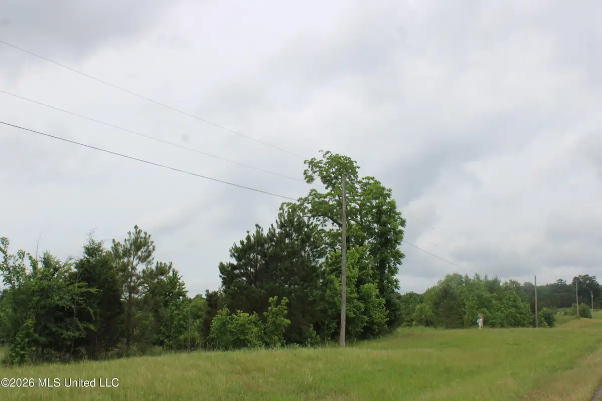 1 Eason Farm Road, Byhalia, MS 38611 - #1