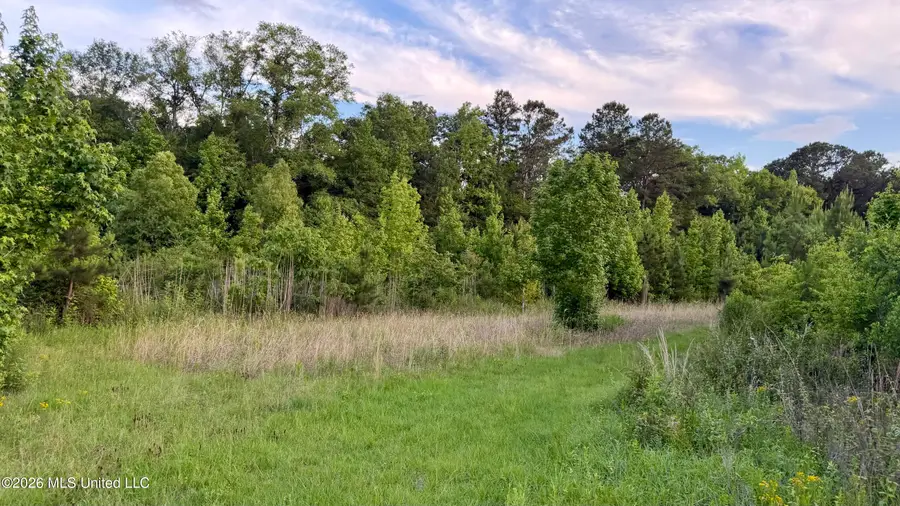 California Rd, Brookhaven, MS 39601 - #2