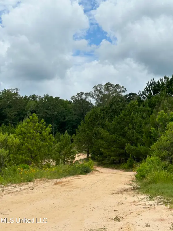 White Road, Florence, MS 39073