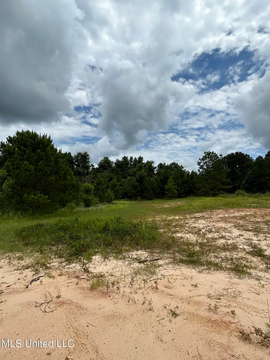 White Road, Florence, MS 39073 - #2