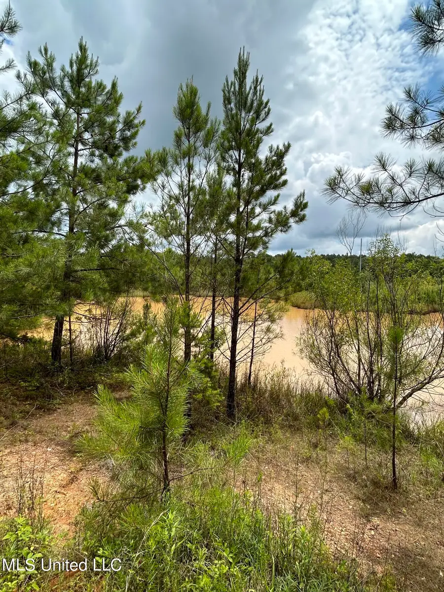 White Road, Florence, MS 39073 - #3