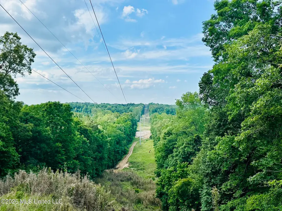 U.s. 49, Bentonia, MS 39040 - #3