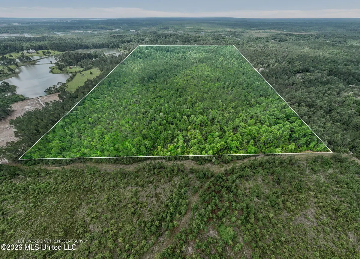 80 Acres Blue Wood Dr, Vancleave, MS 39565 - #1